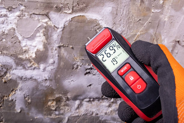 Crest, CA Mold Removal Company