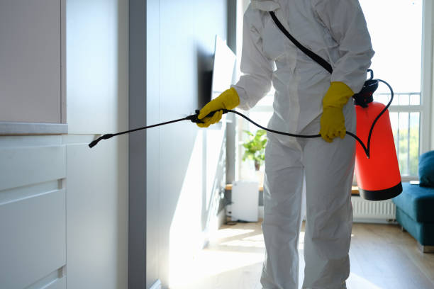 Best Office Mold Removal Services  in Crest, CA