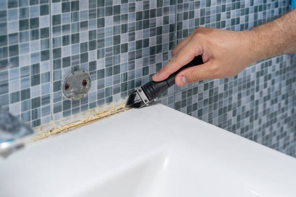 Best Black Mold Removal  in Crest, CA