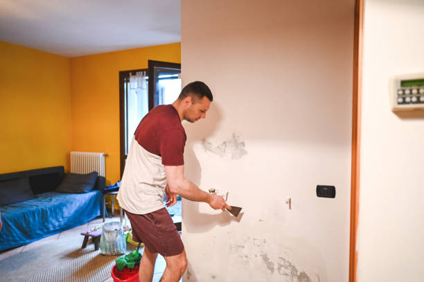 Best Mold Damage Repair  in Crest, CA