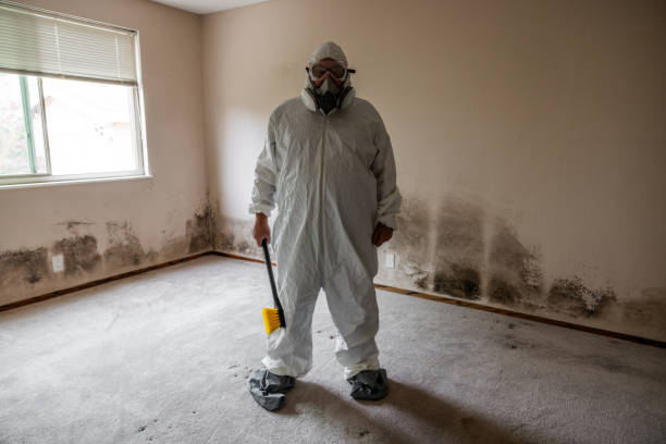 Best Professional Mold Removal  in Crest, CA